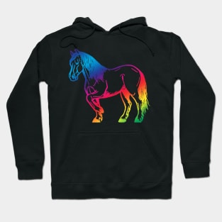 Colourful Cob Hoodie